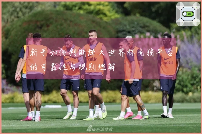 新手如何判断烽火世界杯竞猜平台的可靠性与规则理解