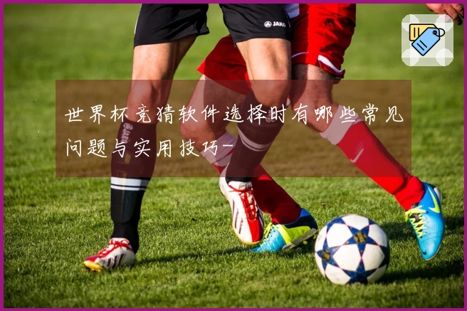 世界杯竞猜软件选择时有哪些常见问题与实用技巧-