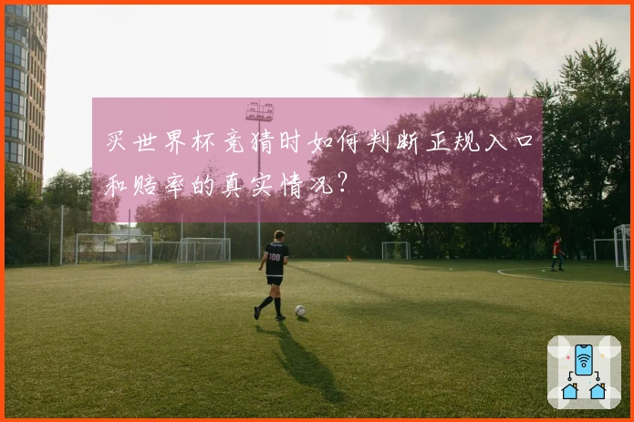 买世界杯竞猜时如何判断正规入口和赔率的真实情况？