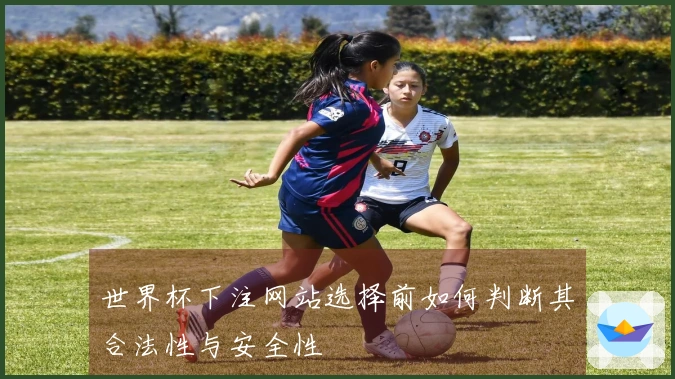 世界杯下注网站选择前如何判断其合法性与安全性
