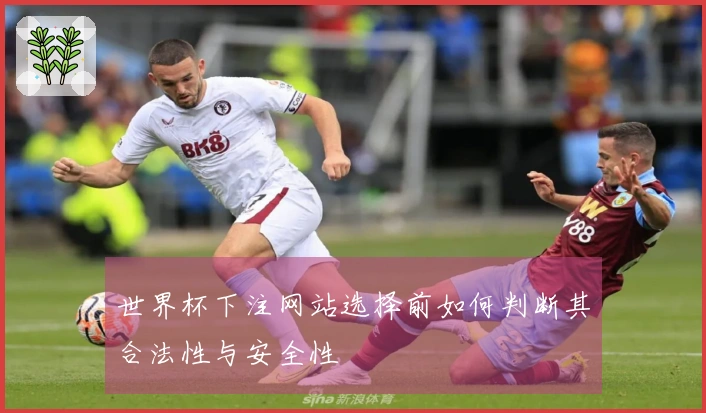 世界杯下注网站选择前如何判断其合法性与安全性