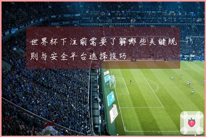 世界杯下注前需要了解哪些关键规则与安全平台选择技巧