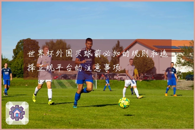 世界杯外围买球前必知的规则和选择正规平台的注意事项