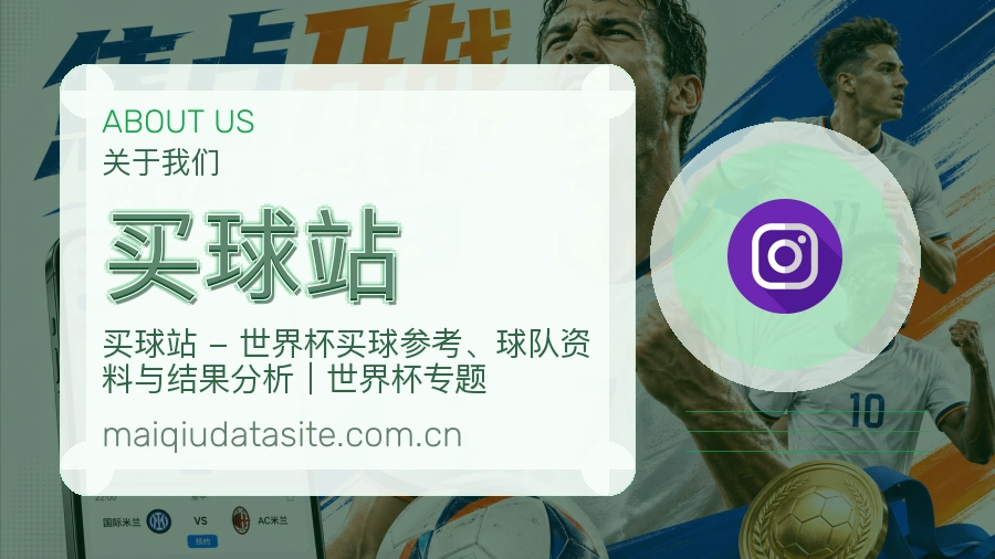 买球站 客户服务团队
